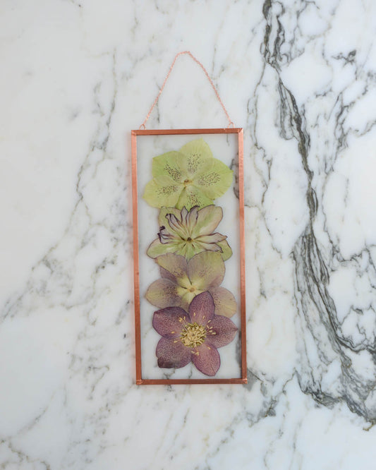 Hellebore - Narrow Glass and Copper Wall Hanging