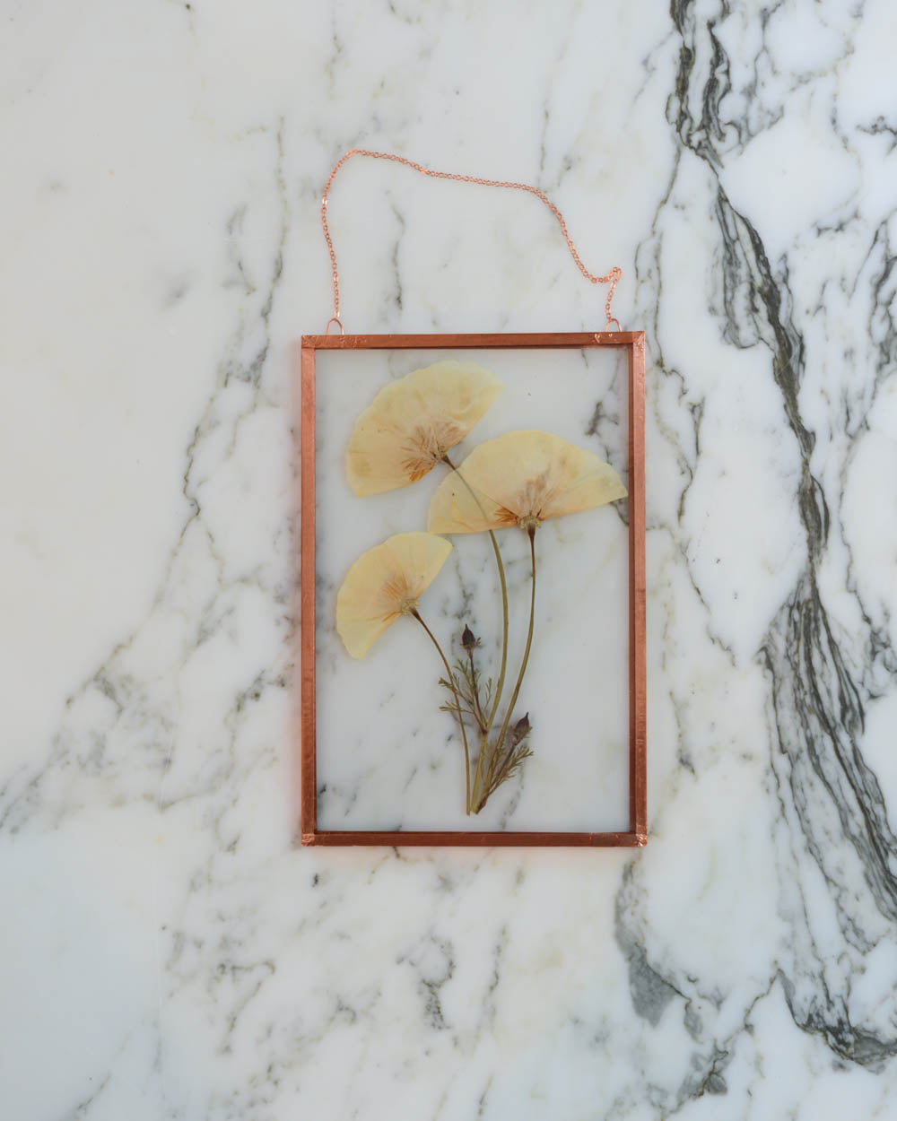 California Poppy - Medium Glass and Copper Wall Hanging