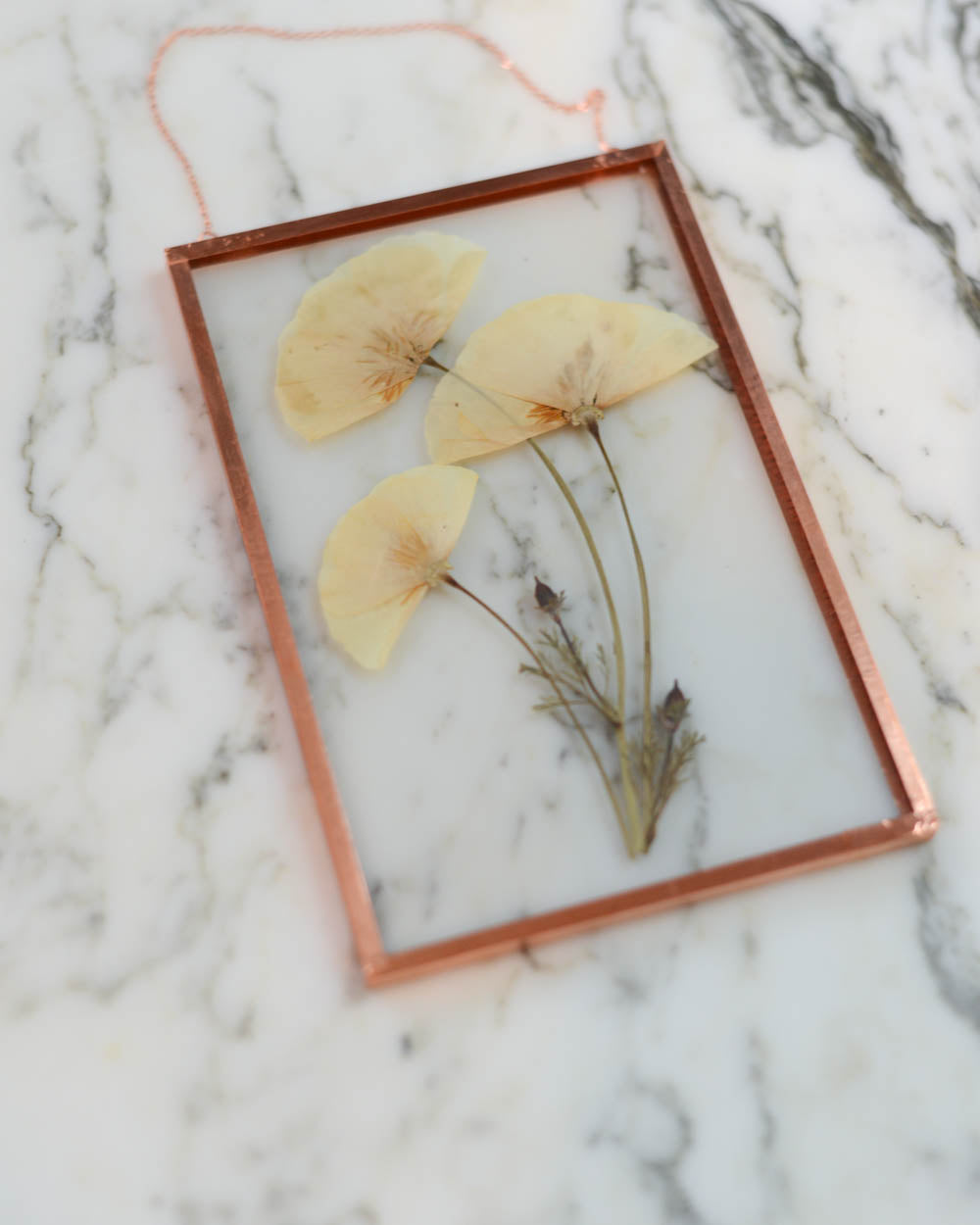 California Poppy - Medium Glass and Copper Wall Hanging