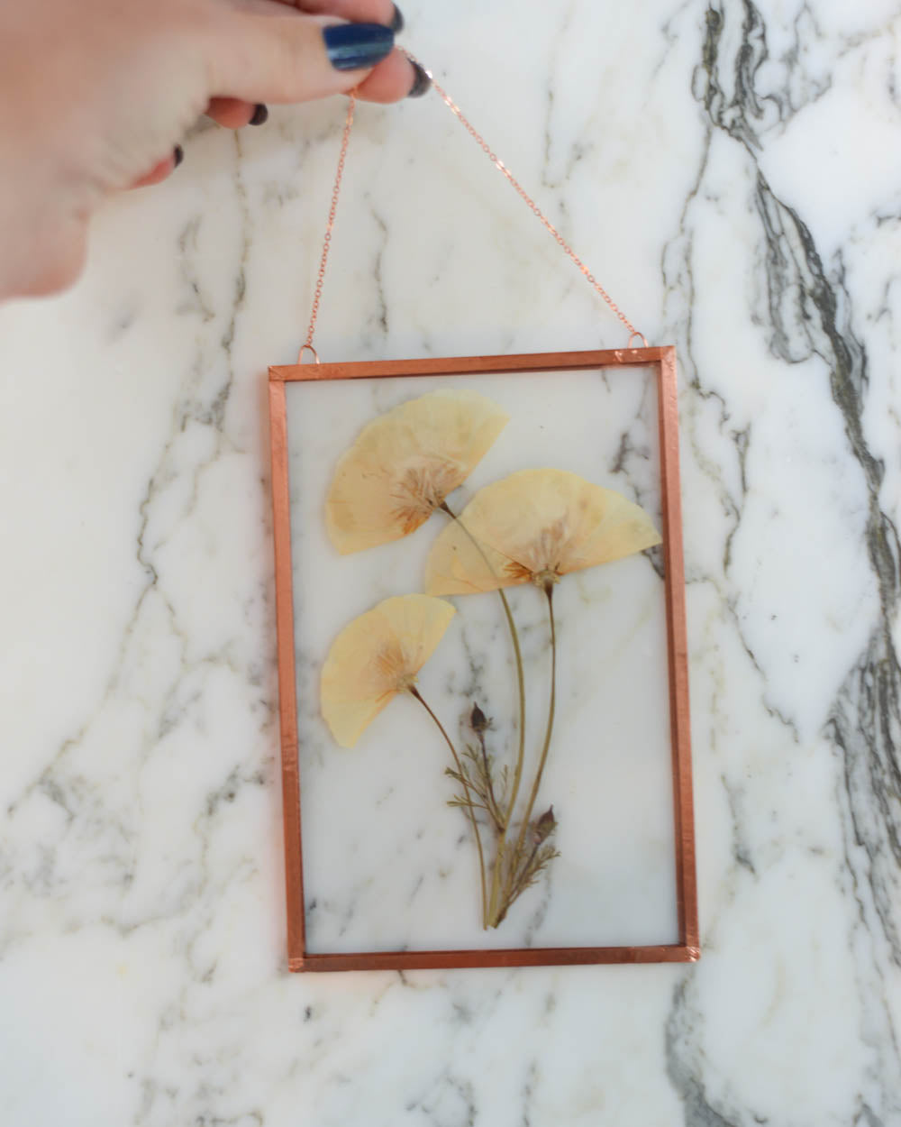 California Poppy - Medium Glass and Copper Wall Hanging