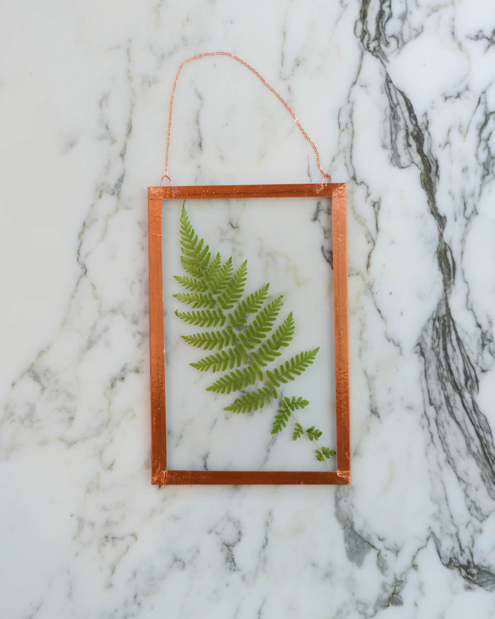 Fern - Medium Glass and Copper Wall Hanging