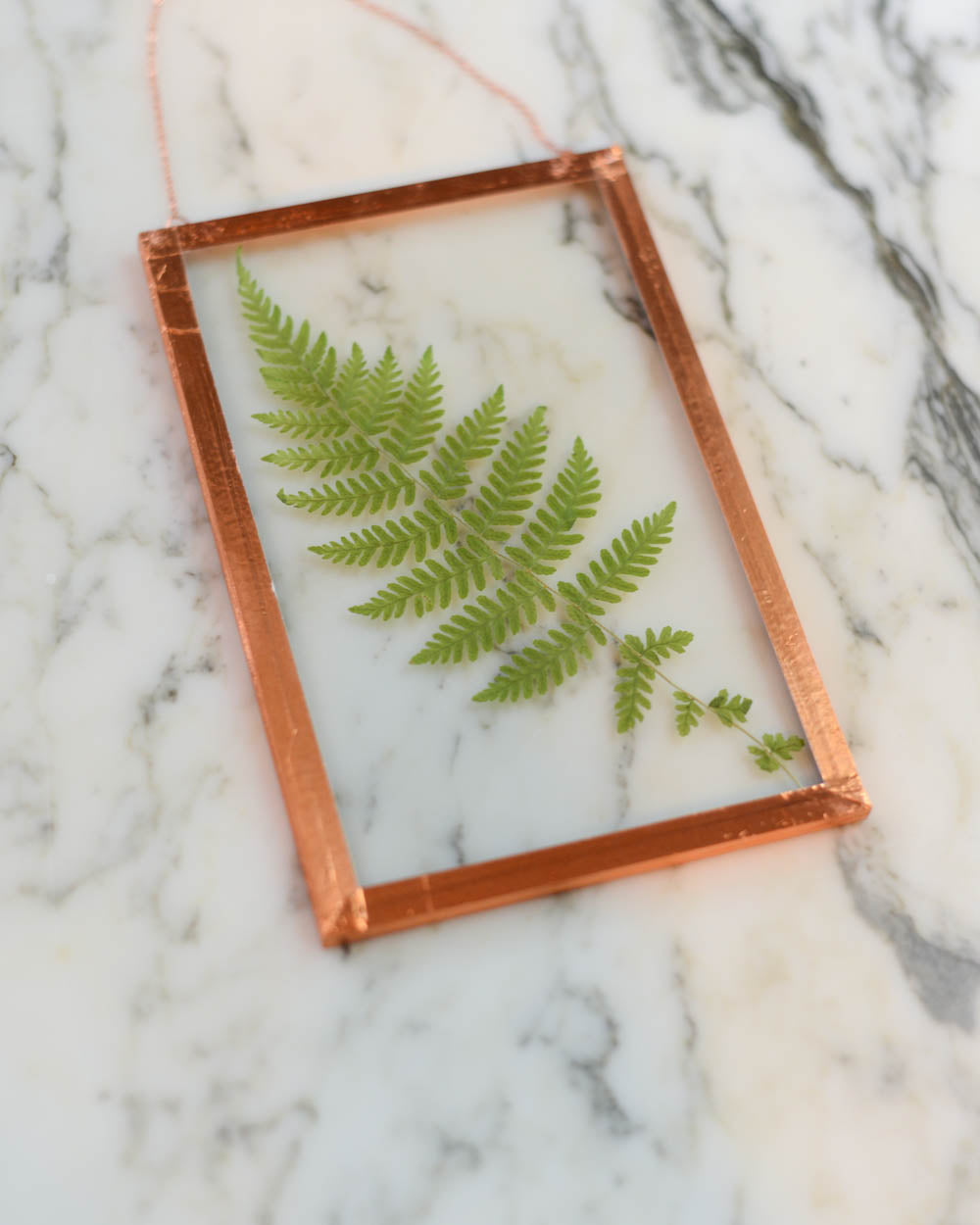 Fern - Medium Glass and Copper Wall Hanging