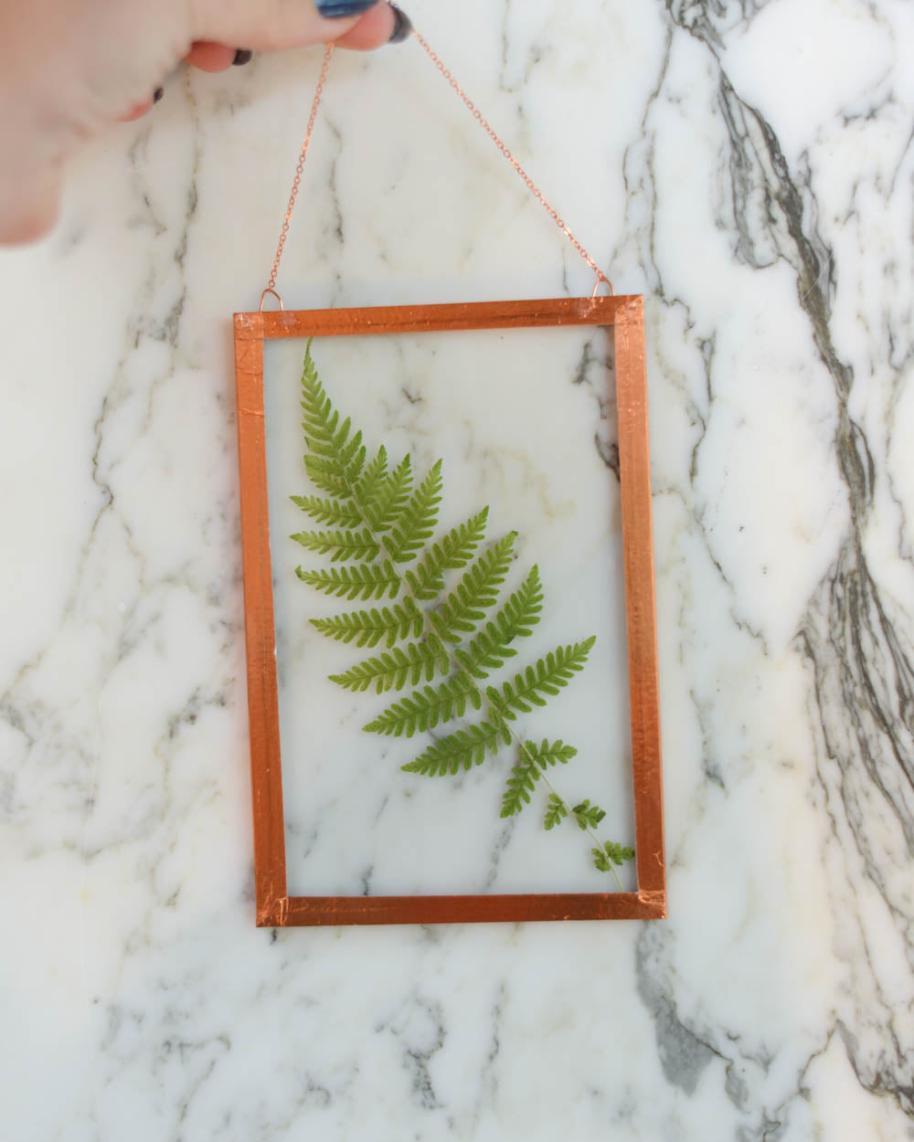 Fern - Medium Glass and Copper Wall Hanging