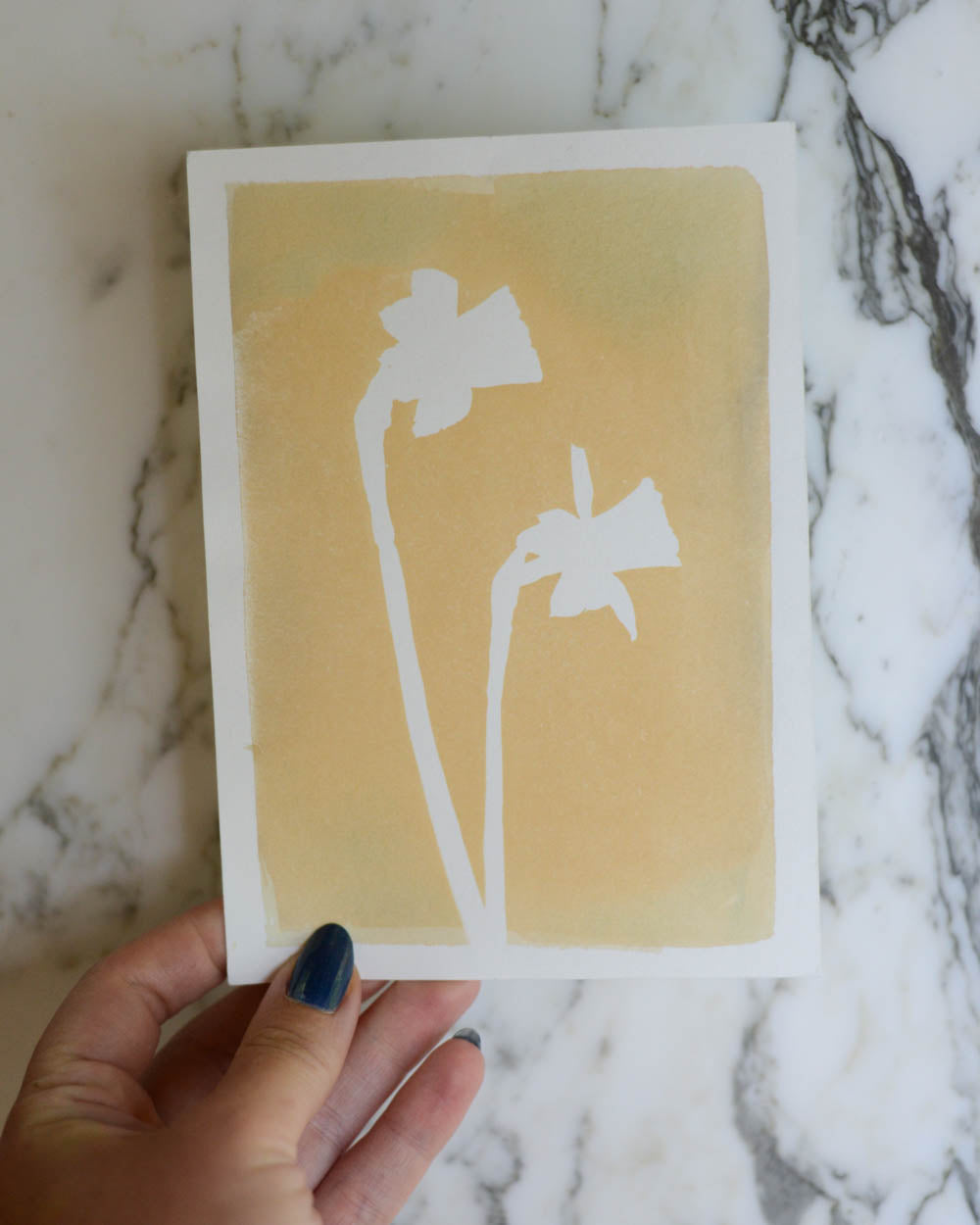 Cyanotype - 5x7" Bleached Daffodil