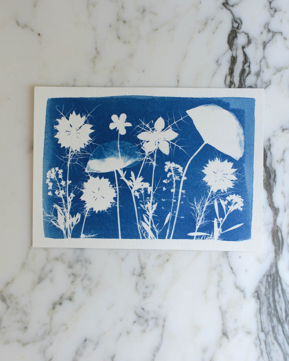 Cyanotype - 5x7" Poppy Meadow