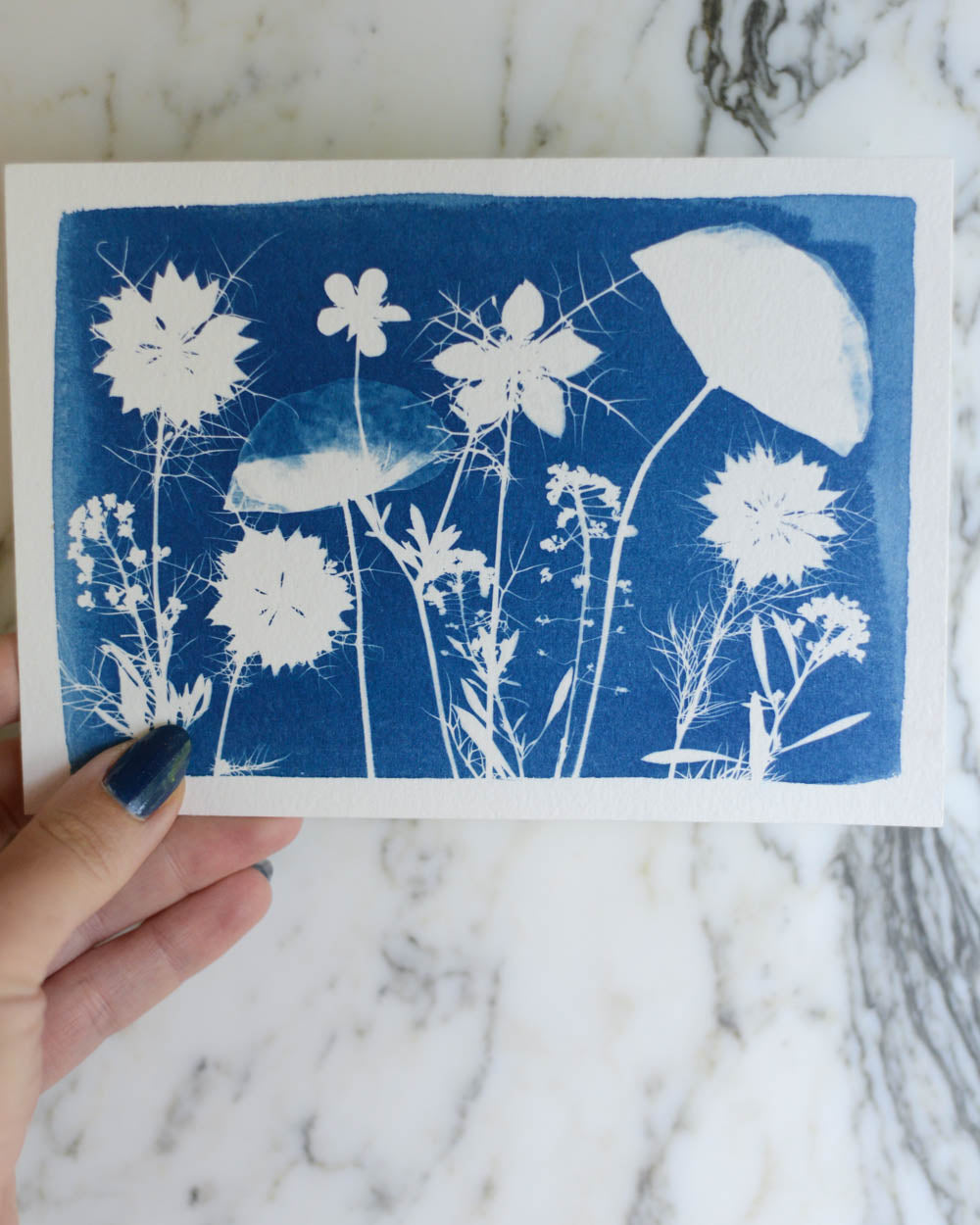 Cyanotype - 5x7" Poppy Meadow