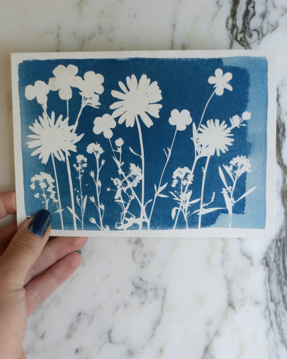 Cyanotype - 5x7" Daisy Meadow