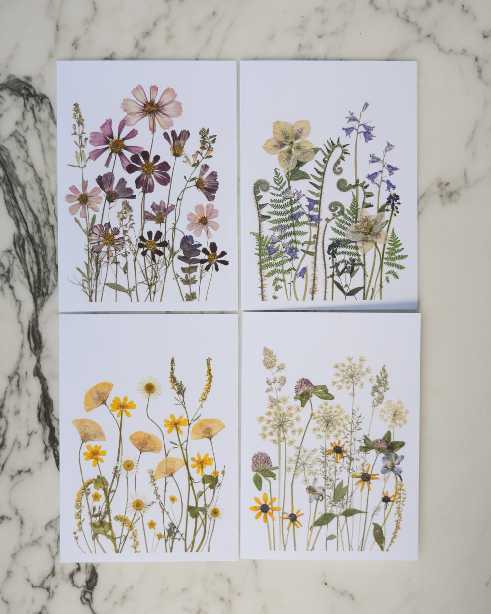 Whimsical Meadows - Blank Greeting Cards, set of 4+ with envelopes