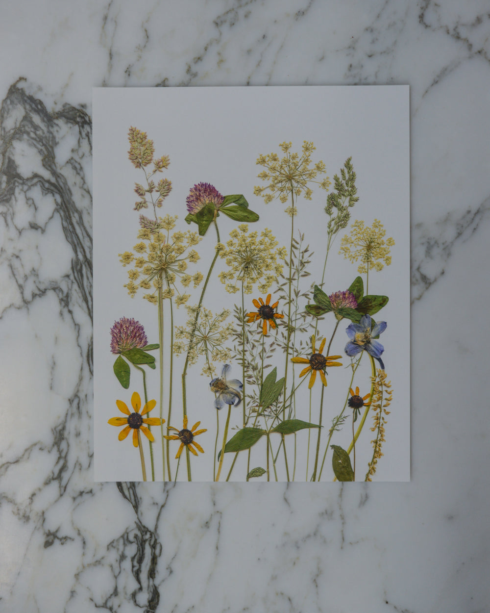 Summer Wildflower Meadow - Art Print of Pressed Flowers