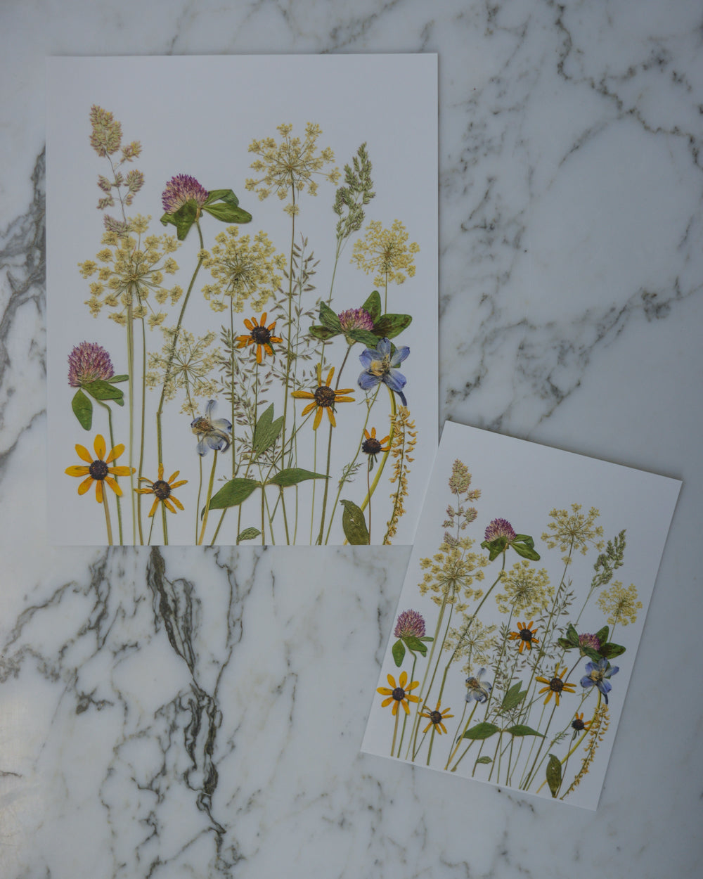 Summer Wildflower Meadow - Art Print of Pressed Flowers