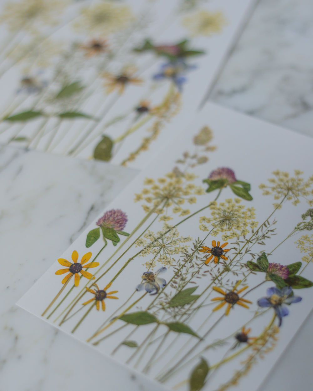 Summer Wildflower Meadow - Art Print of Pressed Flowers