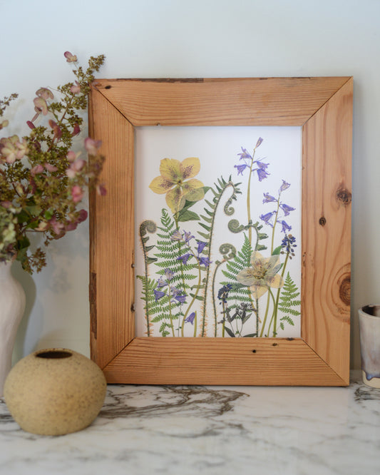 Verdant Spring Meadow - Art Print of Pressed Flowers