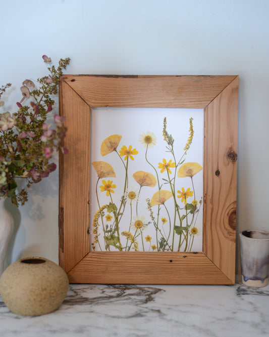 Golden Hour Meadow - Art Print of Pressed Flowers