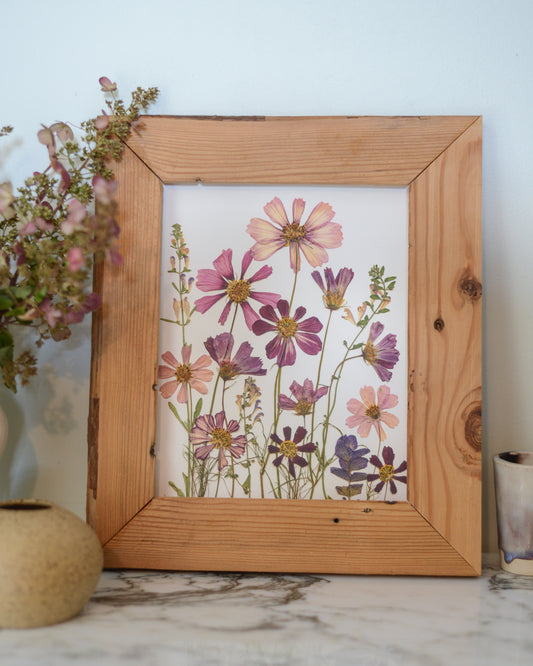 Cosmos Breeze Meadow - Art Print of Pressed Flowers