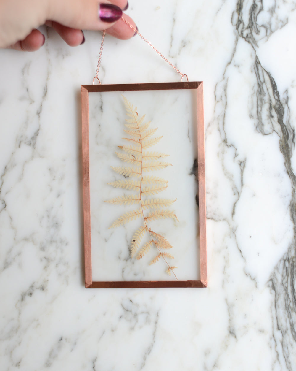 Golden Fern - Glass and Copper Wall Hanging