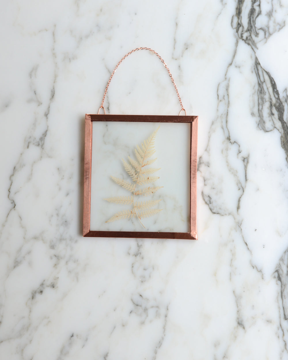 Golden Fern - Glass and Copper Wall Hanging