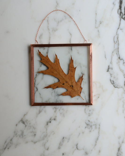 Golden Oak - Glass and Copper Wall Hanging