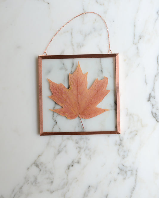 Sugar Maple  - Glass and Copper Wall Hanging