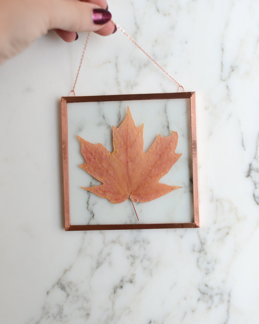 Sugar Maple  - Glass and Copper Wall Hanging