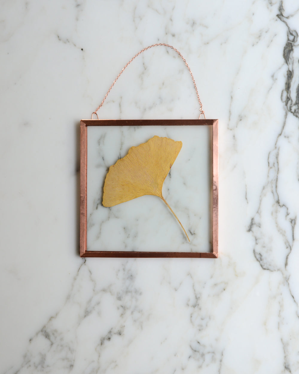 Golden Ginkgo - Glass and Copper Wall Hanging