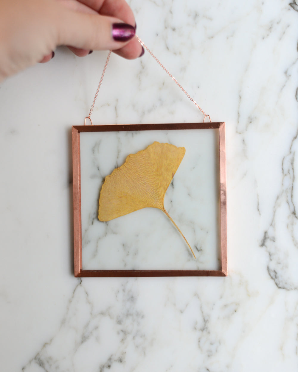 Golden Ginkgo - Glass and Copper Wall Hanging