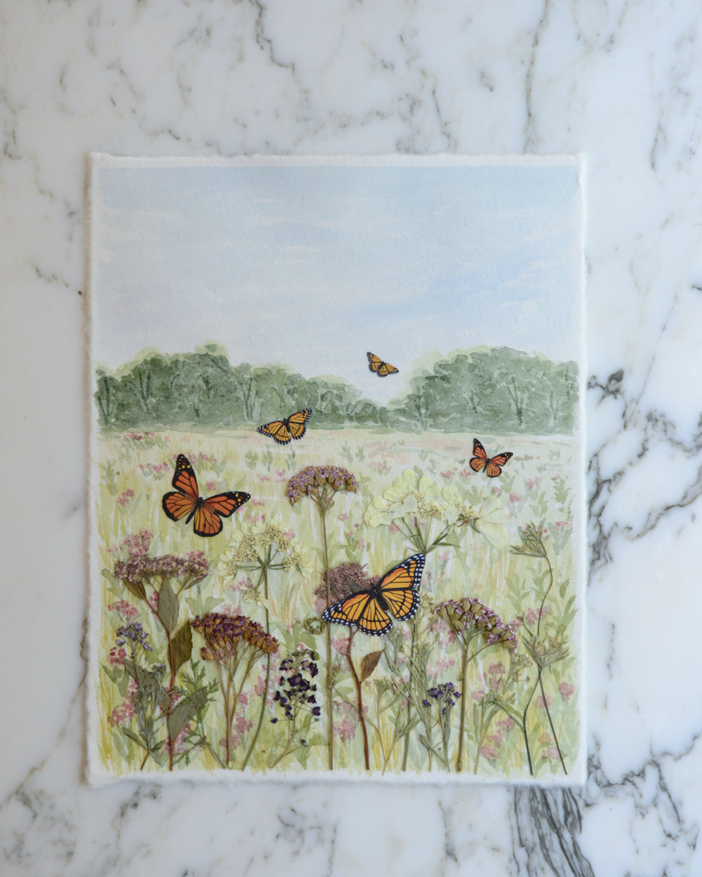 Monarch* Meadow - Original Artwork, 8x10" Watercolor and Pressed Flowers