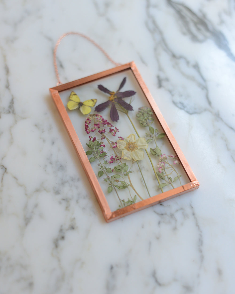 Mini Butterfly Meadow 1 - Glass and Copper Wall Hanging