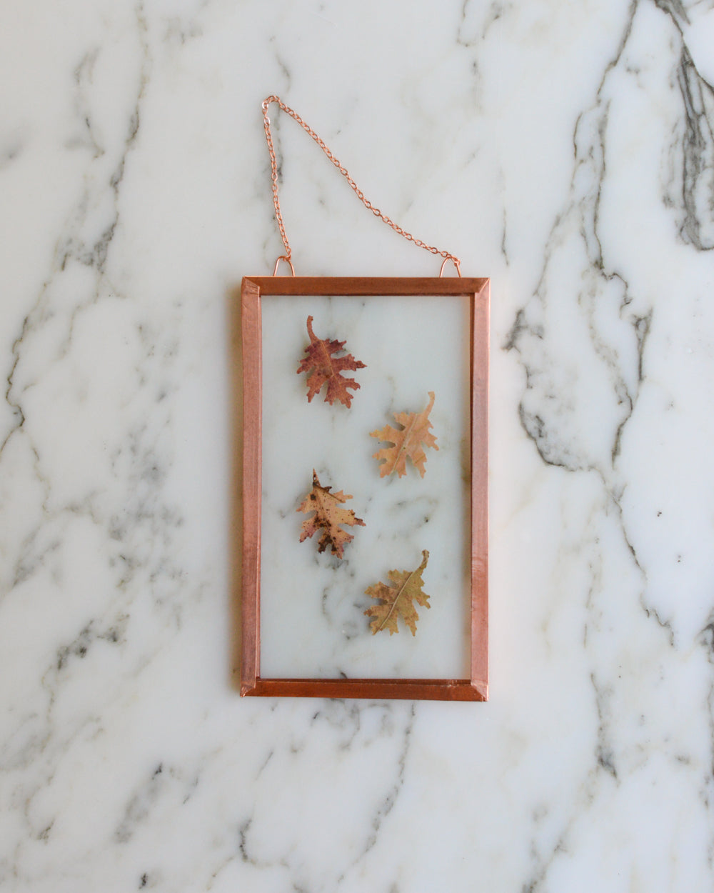 Tiny Oak Leaves - Glass and Copper Wall Hanging