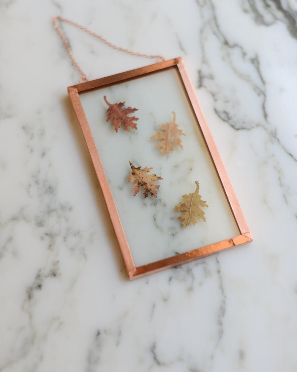 Tiny Oak Leaves - Glass and Copper Wall Hanging