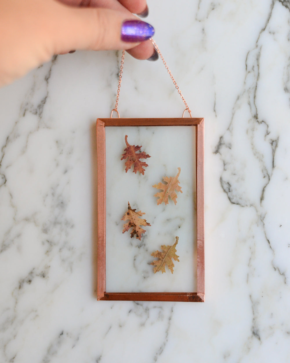 Tiny Oak Leaves - Glass and Copper Wall Hanging