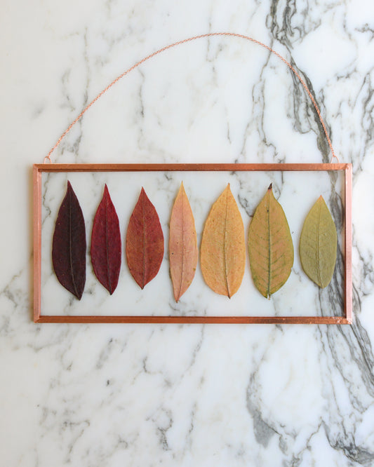 Sumac Ombre - Medium Glass and Copper Wall Hanging