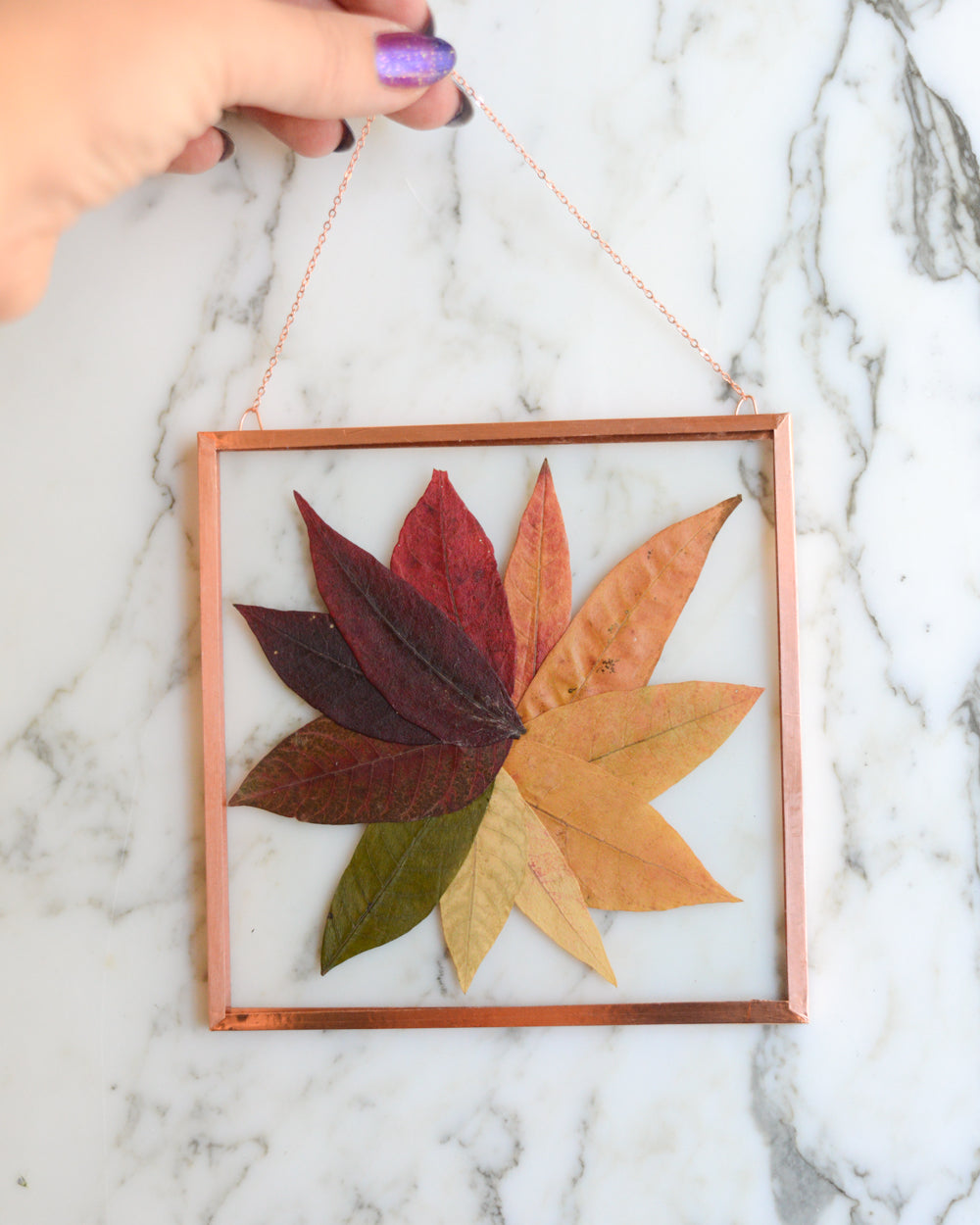 Sumac Colorwheel - Glass and Copper Wall Hanging