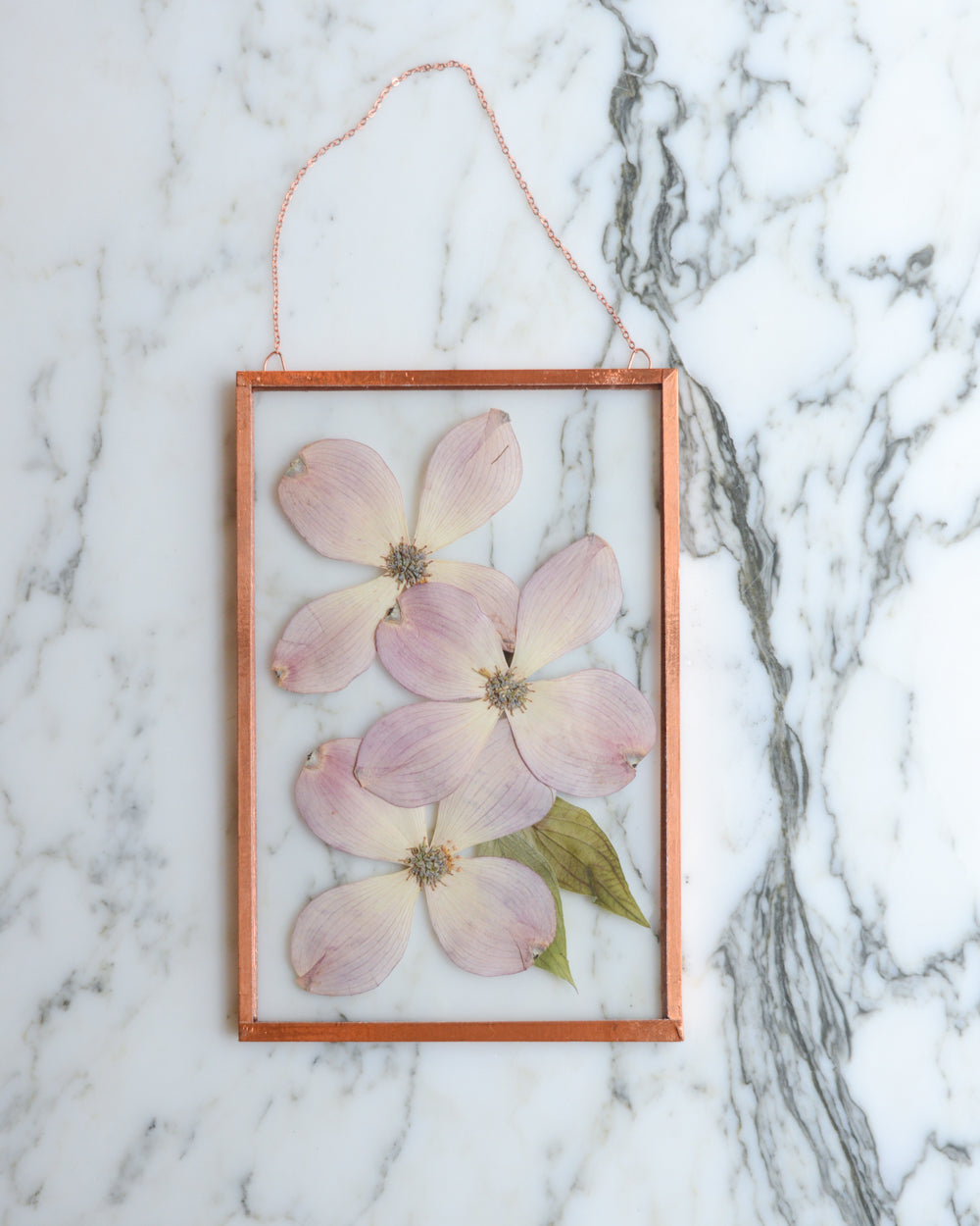 Pink Dogwood - Glass and Copper Wall Hanging