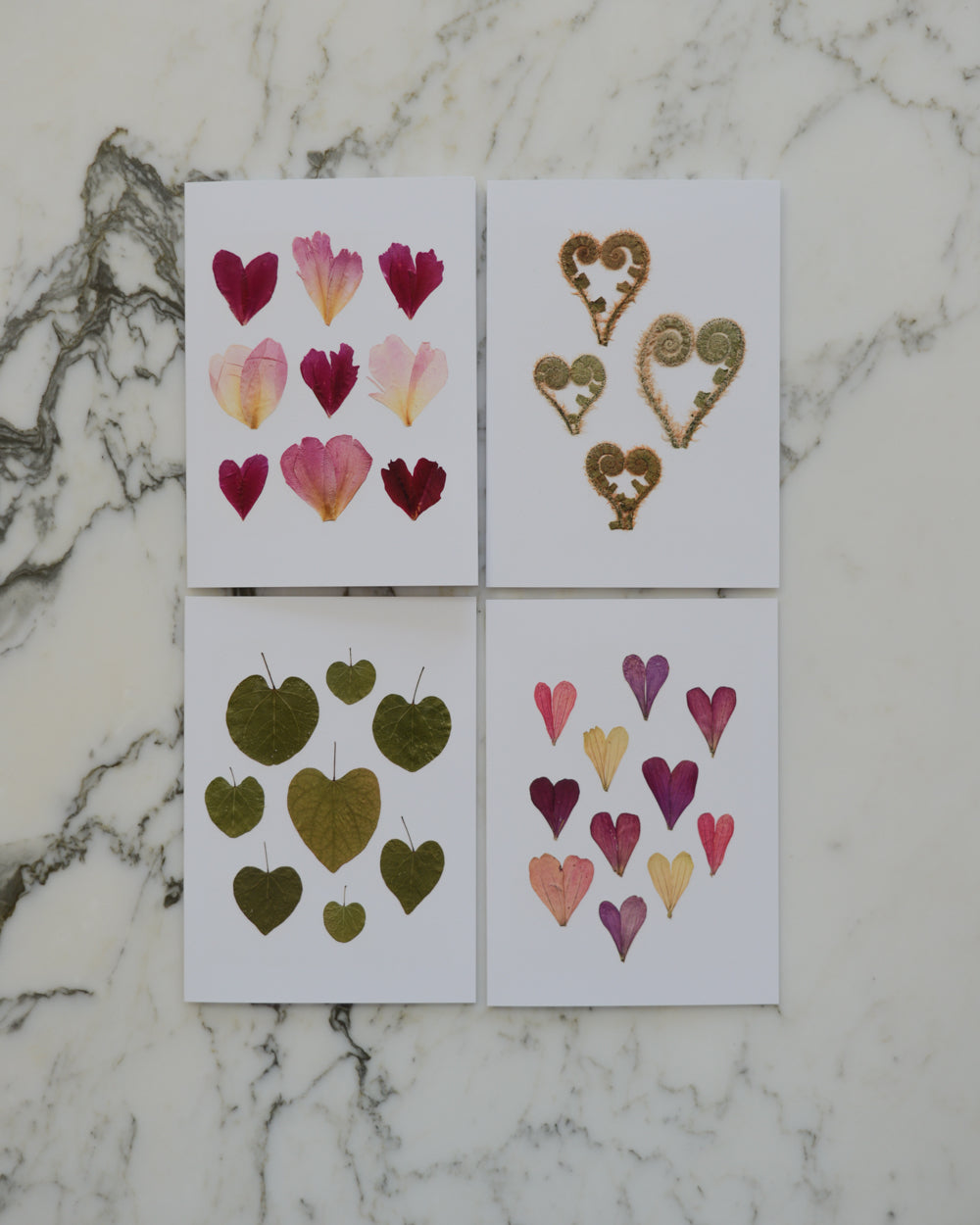 Botanical Hearts - Blank Greeting Cards, set of 4+ with envelopes