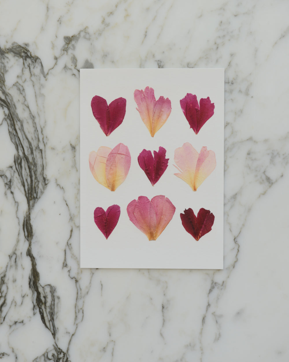 Botanical Hearts - Art Print of Pressed Flowers