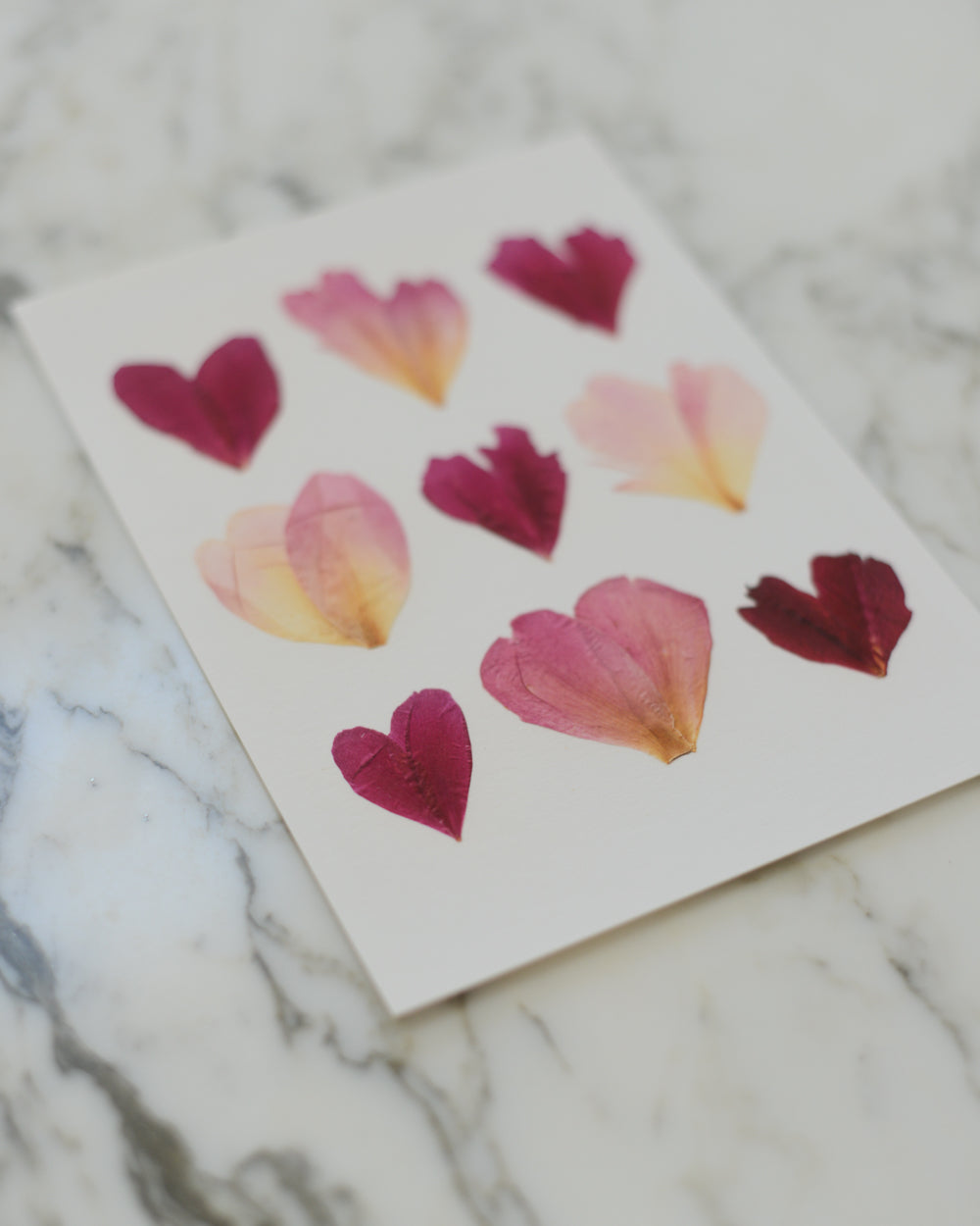 Botanical Hearts - Art Print of Pressed Flowers