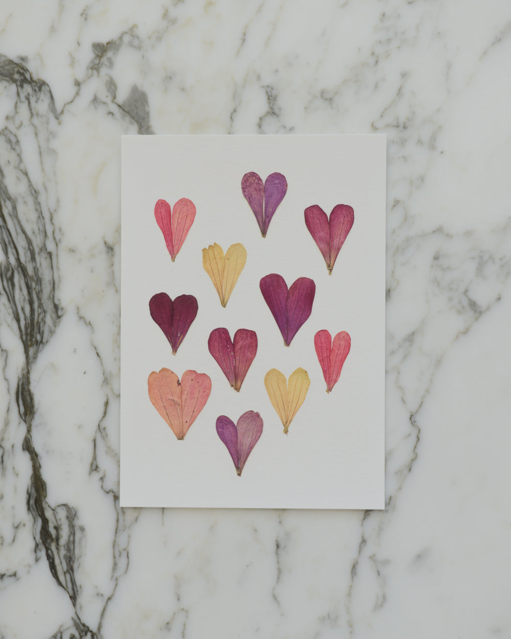 Botanical Hearts - Art Print of Pressed Flowers