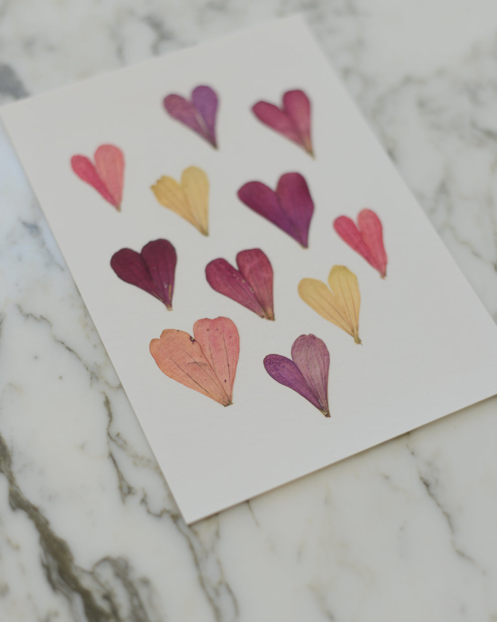 Botanical Hearts - Art Print of Pressed Flowers