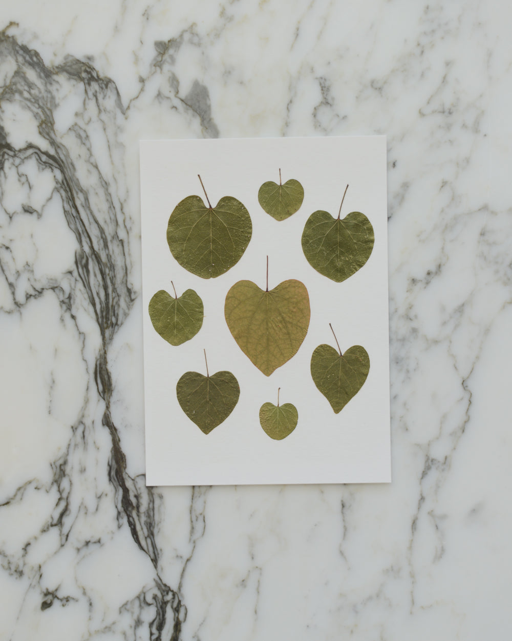 Botanical Hearts - Art Print of Pressed Flowers