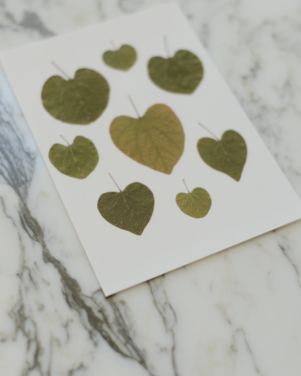 Botanical Hearts - Art Print of Pressed Flowers