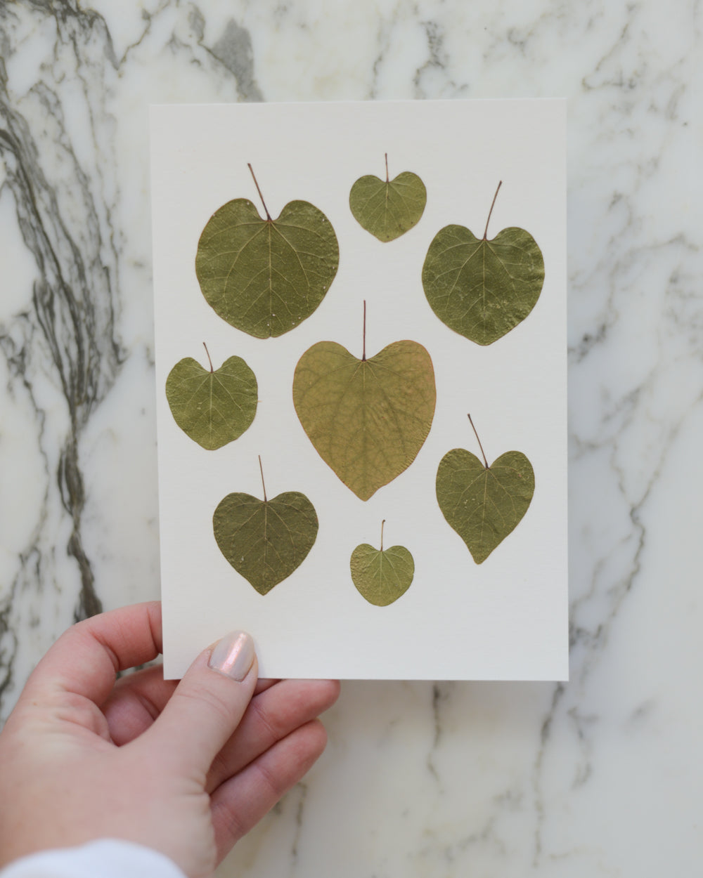 Botanical Hearts - Art Print of Pressed Flowers