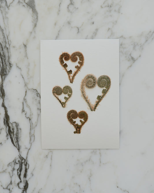 ORIGINAL Fiddlehead Hearts - Unframed 5x7"