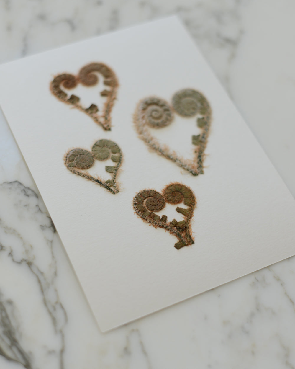 ORIGINAL Fiddlehead Hearts - Unframed 5x7"