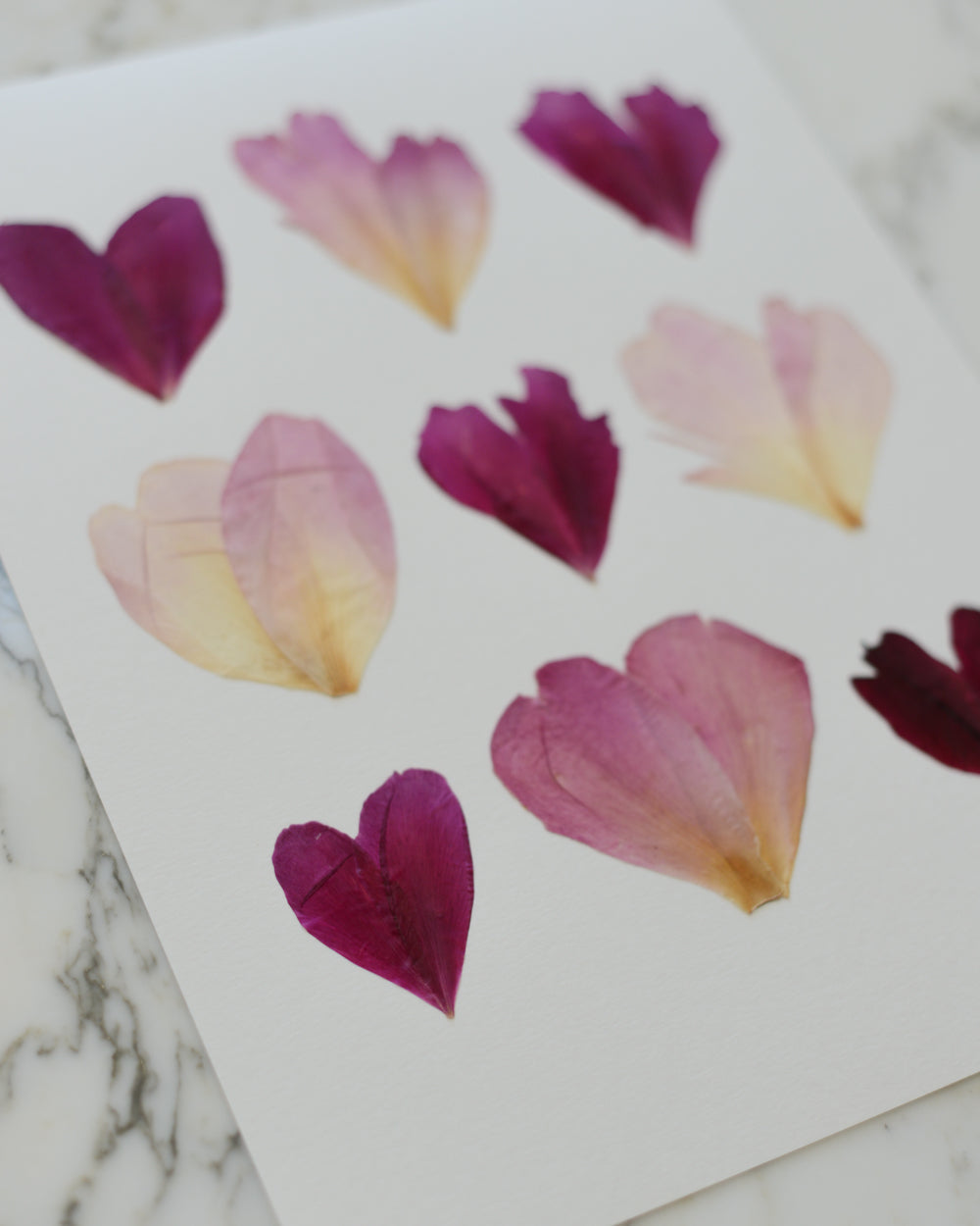 ORIGINAL Peony Hearts - Unframed 9x12"