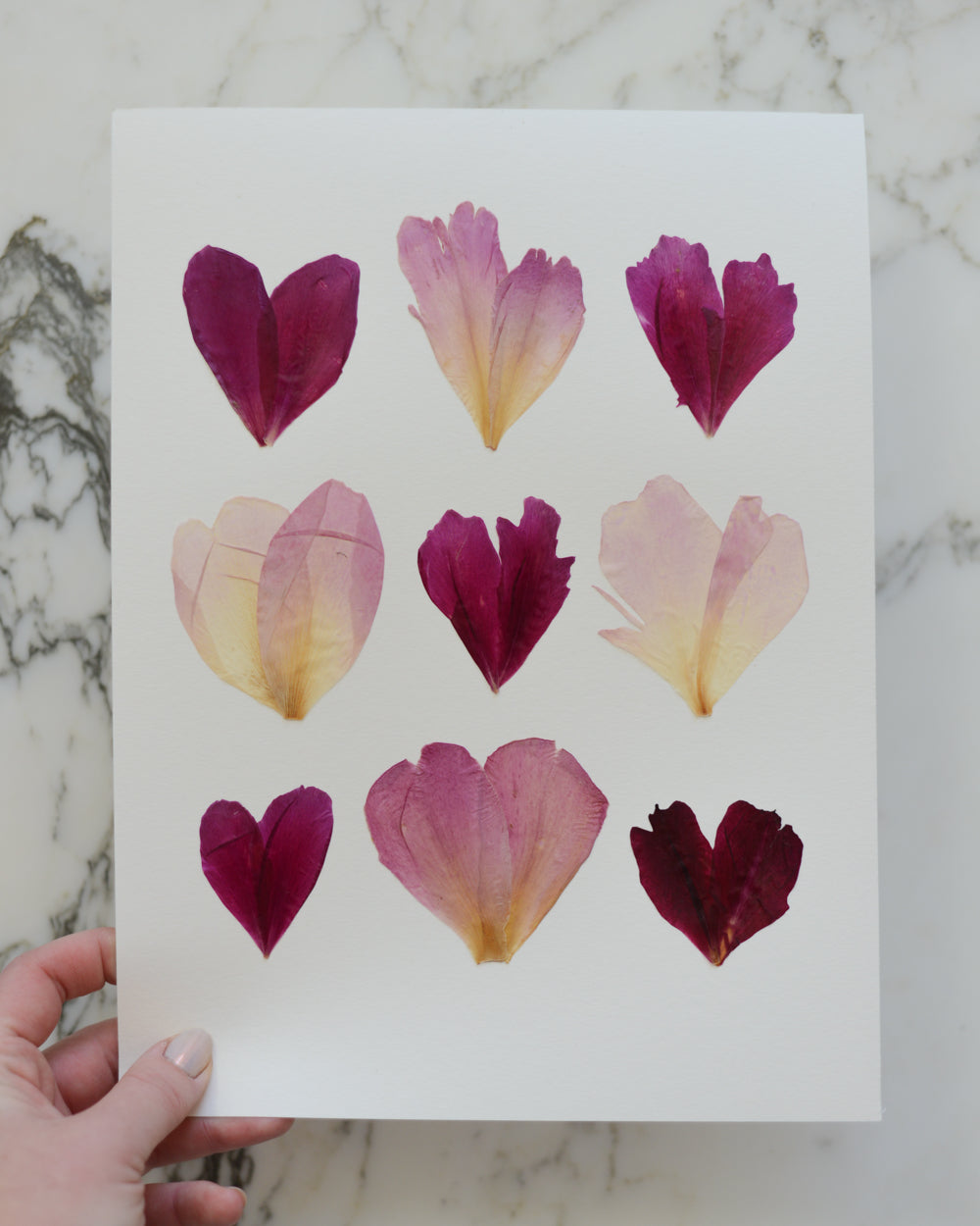 ORIGINAL Peony Hearts - Unframed 9x12"