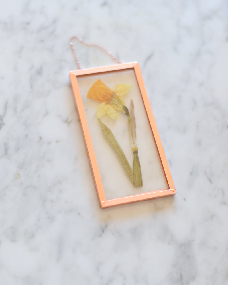 Daffodil - Small Glass and Copper Wall Hanging