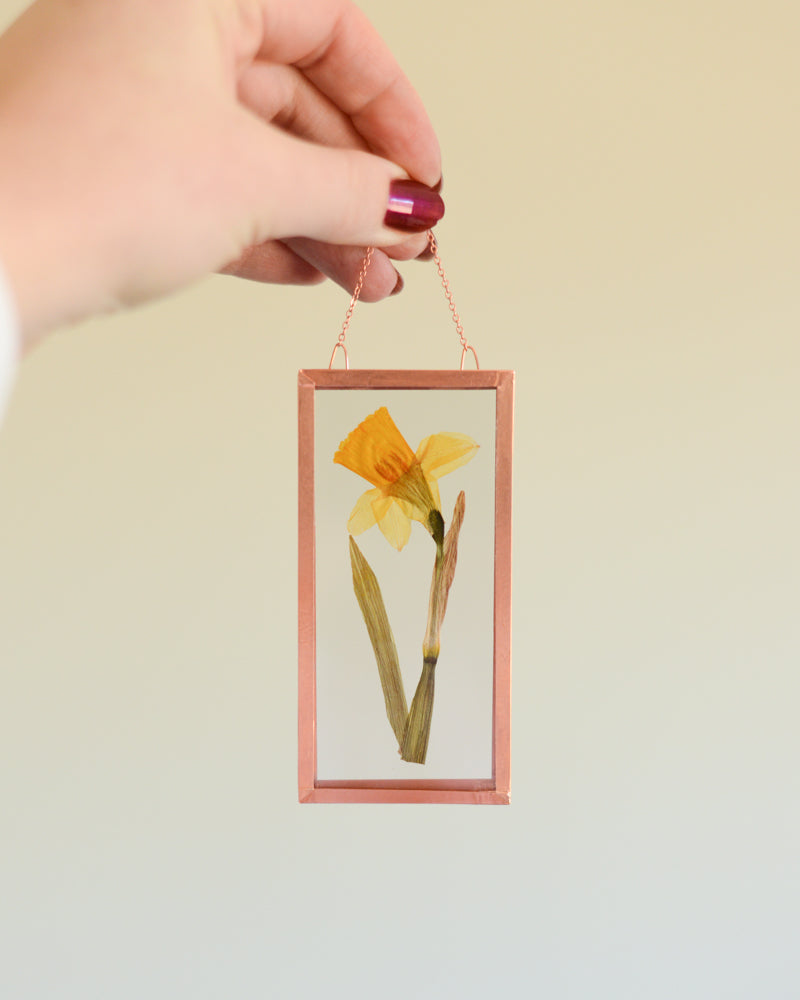 Daffodil - Small Glass and Copper Wall Hanging