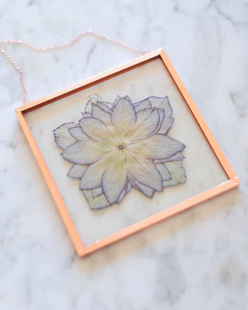 Hellebore - Square Glass and Copper Wall Hanging