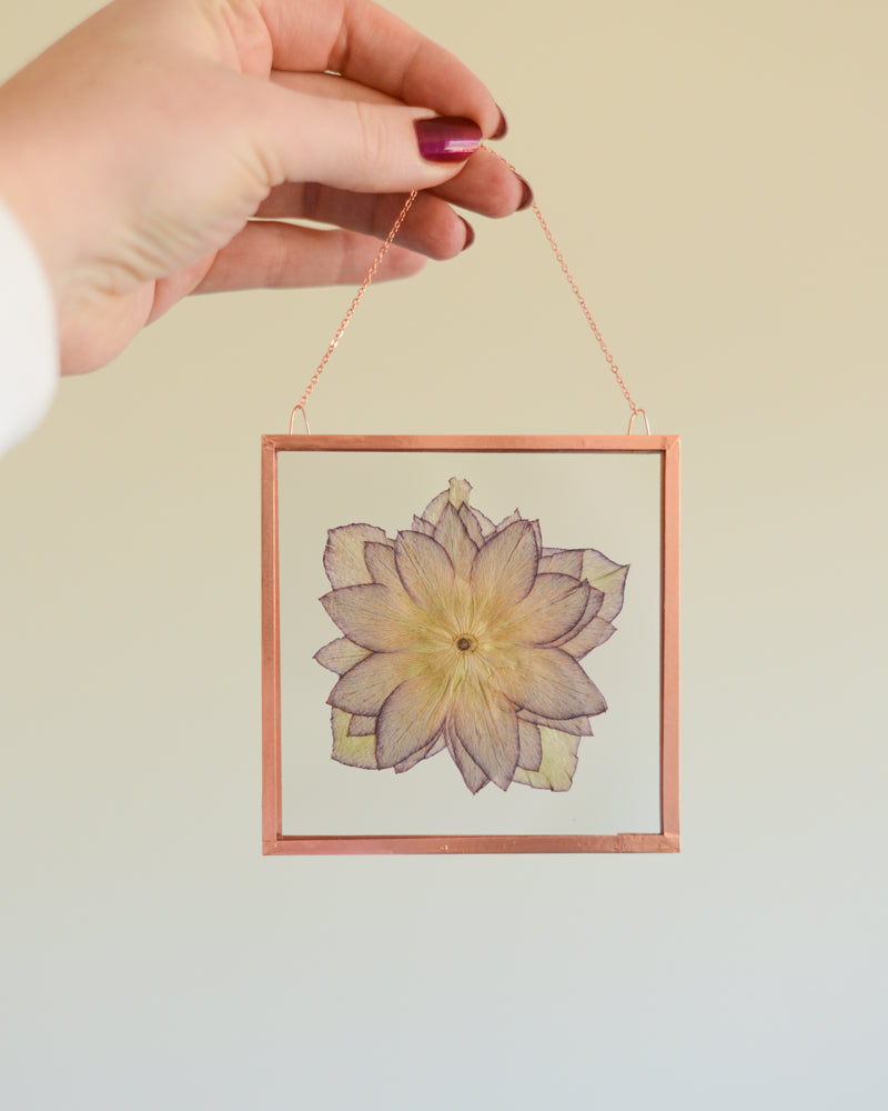 Hellebore - Square Glass and Copper Wall Hanging