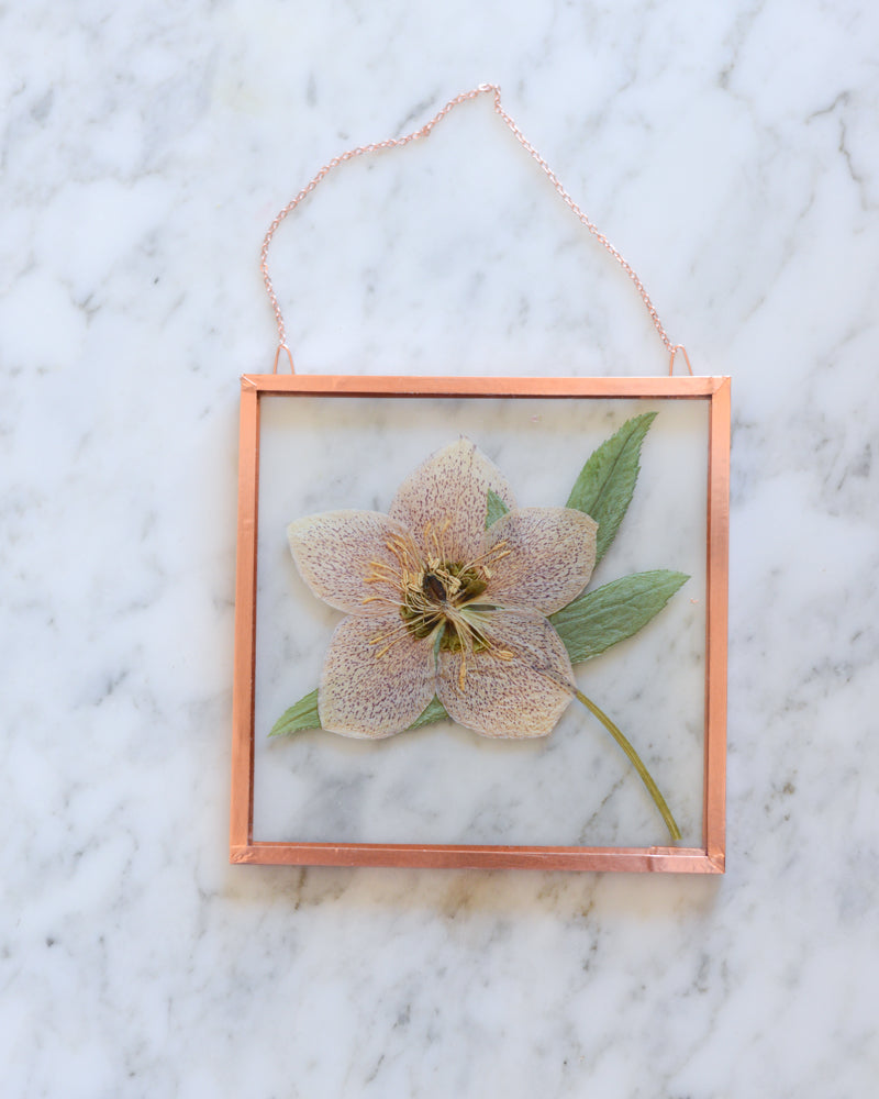 Hellebore - Square Glass and Copper Wall Hanging